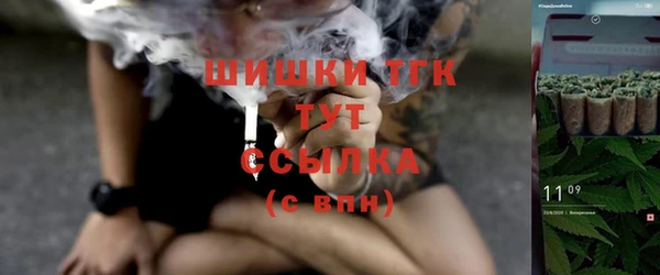 ГАЛЛЮЦИНОГЕННЫЕ ГРИБЫ Горно-Алтайск