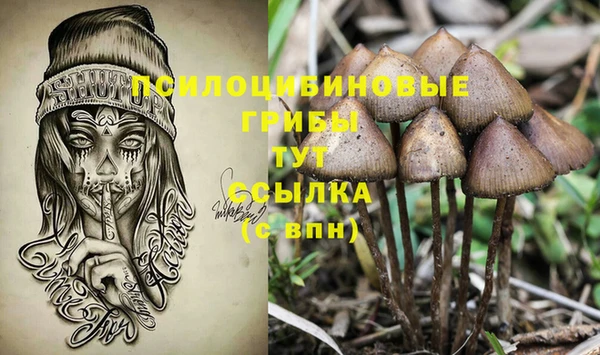 PSILOCYBIN Гусь-Хрустальный